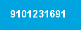 9101231691 9101231691