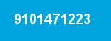 9101471223