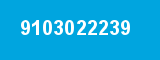 9103022239