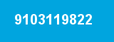 9103119822