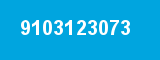 9103123073