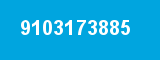 9103173885