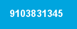 9103831345