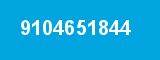 9104651844