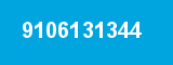9106131344