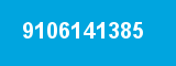 9106141385