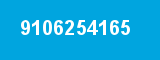 9106254165