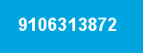 9106313872 9106313872