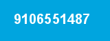 9106551487