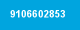9106602853