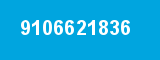9106621836