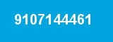 9107144461
