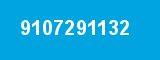 9107291132