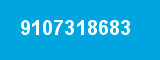 9107318683