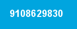 9108629830