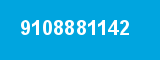 9108881142