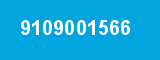 9109001566