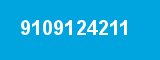 9109124211
