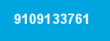 9109133761