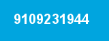 9109231944