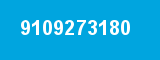 9109273180