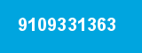 9109331363