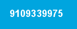 9109339975