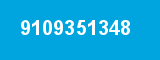 9109351348