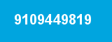 9109449819