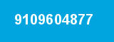 9109604877