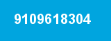 9109618304