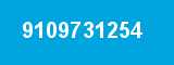 9109731254
