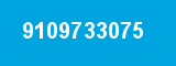 9109733075