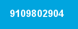 9109802904