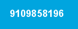 9109858196