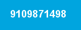 9109871498