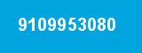 9109953080