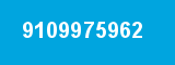 9109975962