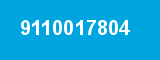 9110017804
