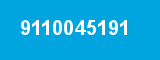 9110045191