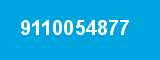 9110054877