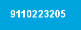 9110223205