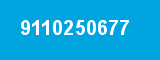 9110250677