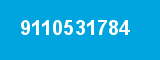 9110531784