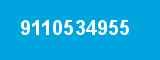 9110534955
