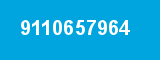 9110657964