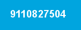 9110827504