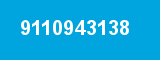 9110943138