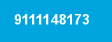 9111148173