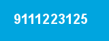 9111223125